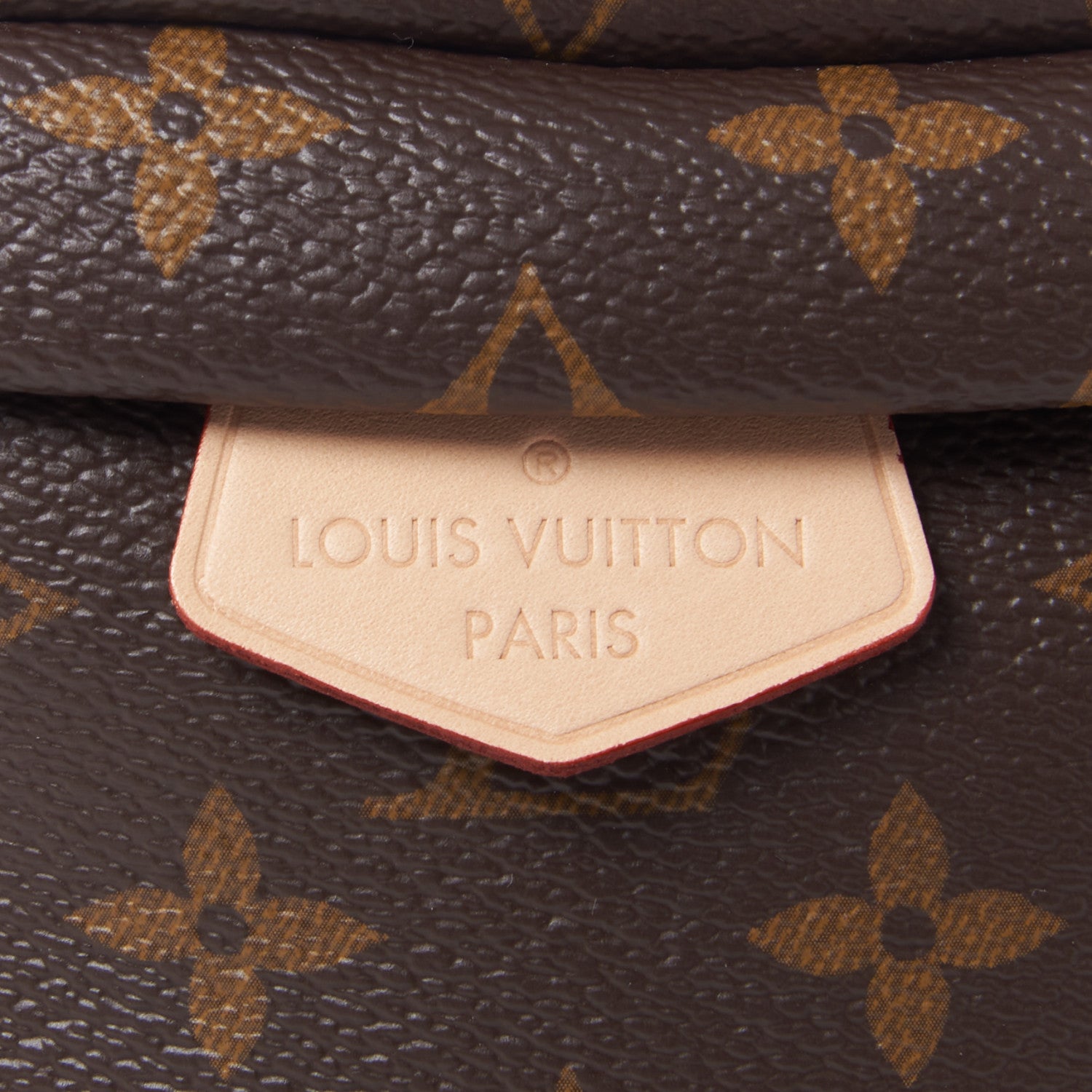 Louis Vuitton Monogram Bumbag 7 of 8