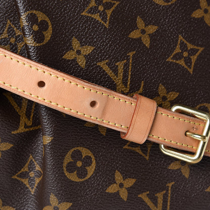Louis Vuitton Monogram Palermo PM 19 of 20