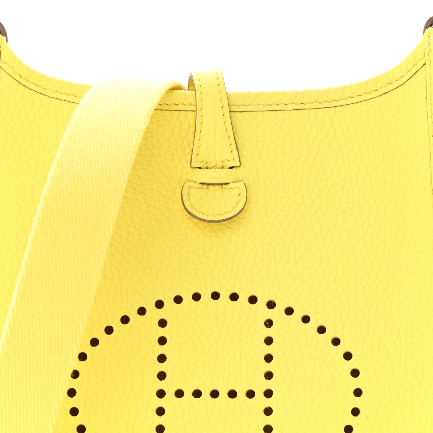 Taurillon Clemence Evelyne TPM Limoncello