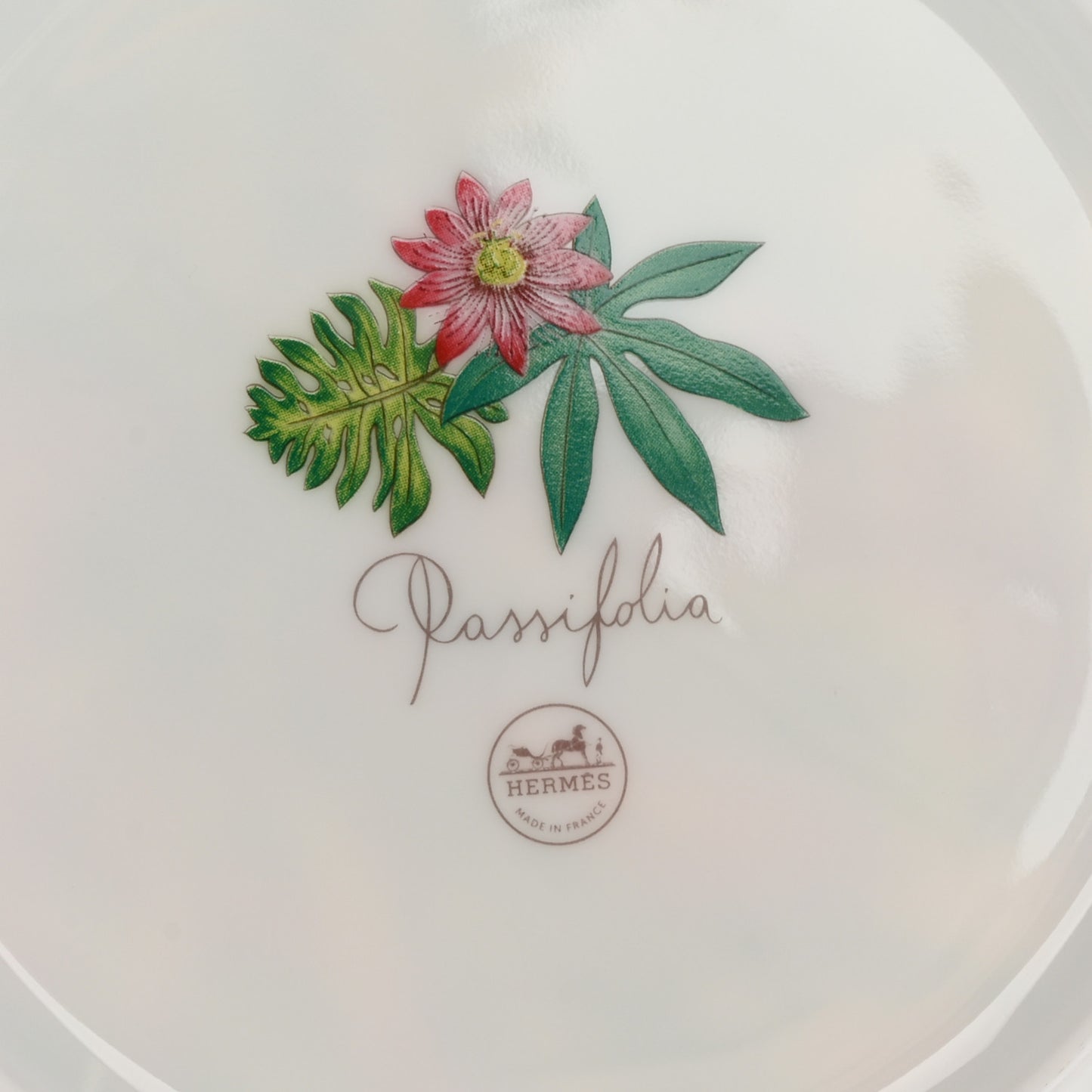 Porcelain Passifolia Dessert Plate N°2 Set of 2