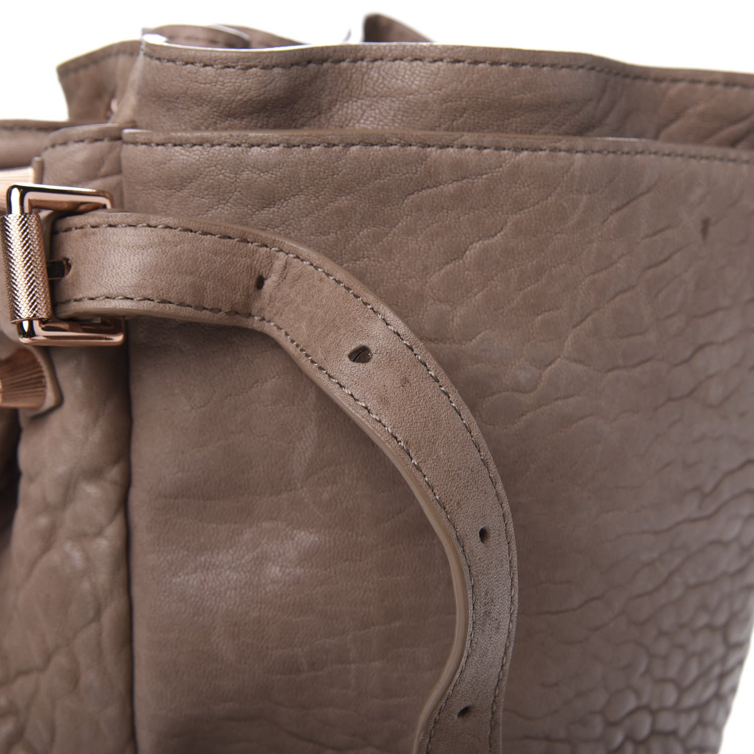 Alexander Wang Pebbled Lambskin Diego Bucket Bag Latte 13 of 16