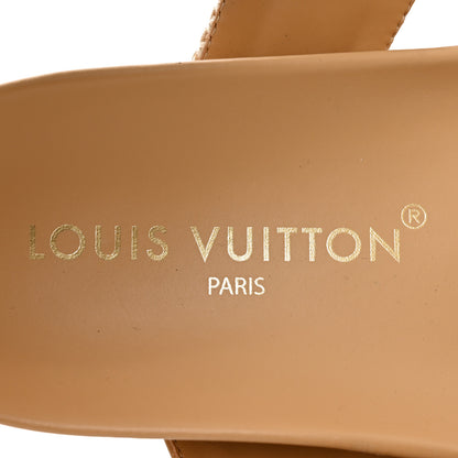 Louis Vuitton Raffia Monogram Bom Dia Flat Mule Sandals 39 Natural 7 of 8