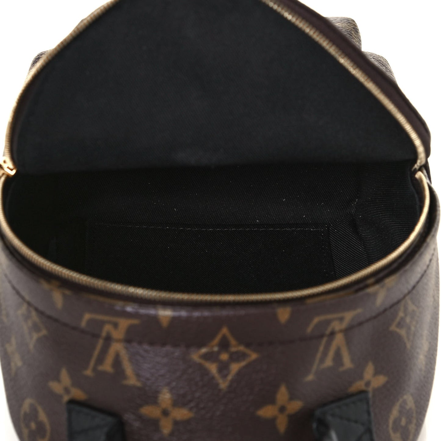 Monogram Palm Springs Backpack Mini