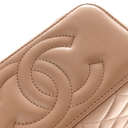 Chanel Lambskin Quilted Small Pillow Crush Vanity Case With Chain Beige 12 of 13