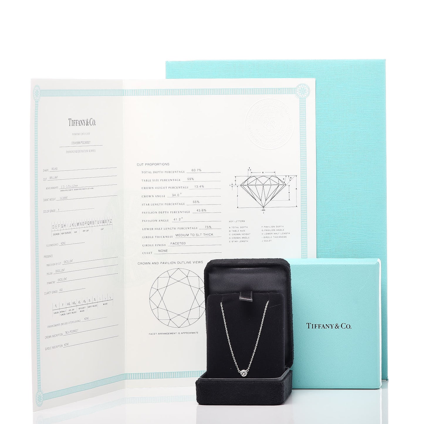 Platinum Diamond .19ct Elsa Peretti Diamonds by the Yard Pendant Necklace