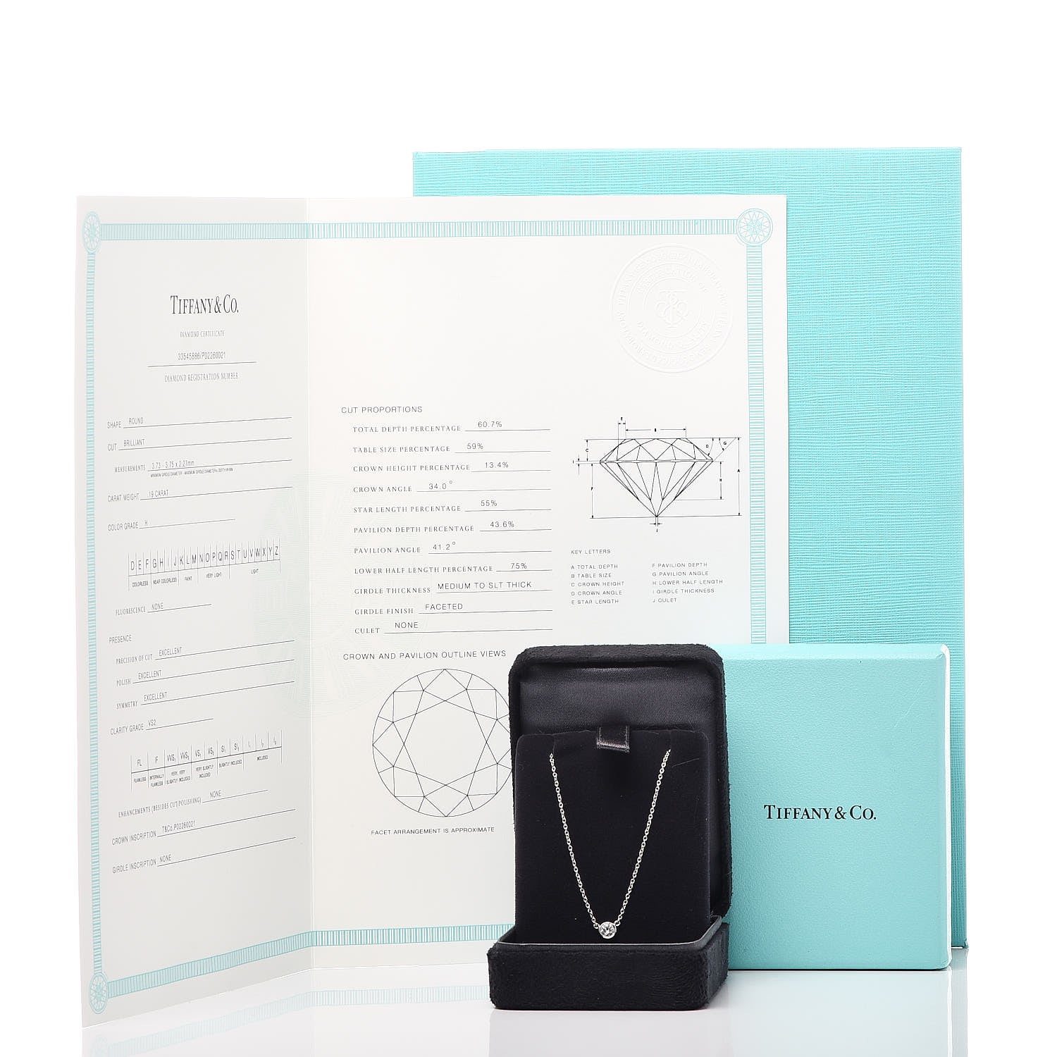 Tiffany Platinum Diamond .19ct Elsa Peretti Diamonds by the Yard Pendant Necklace 9 of 9