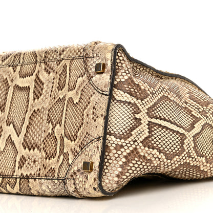 Celine Snakeskin Mini Luggage Beige 9 of 18