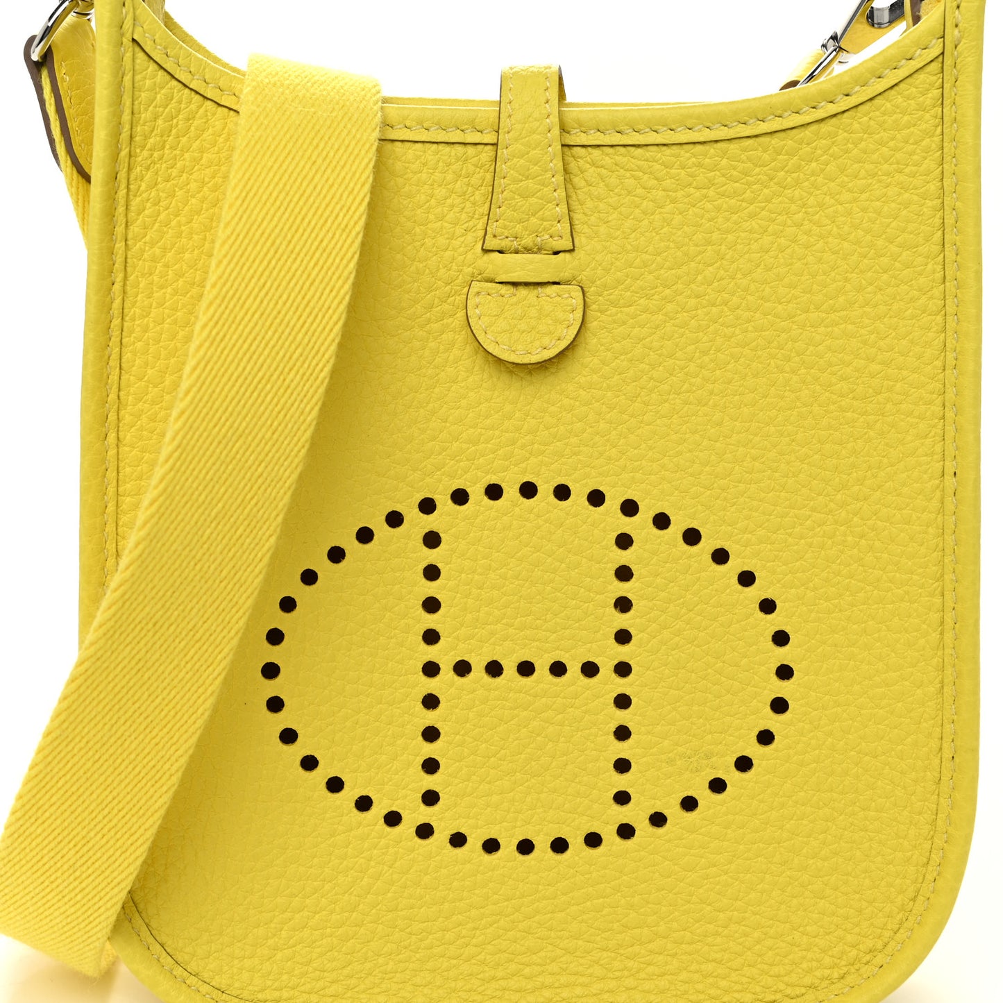 Taurillon Clemence Evelyne TPM Lime