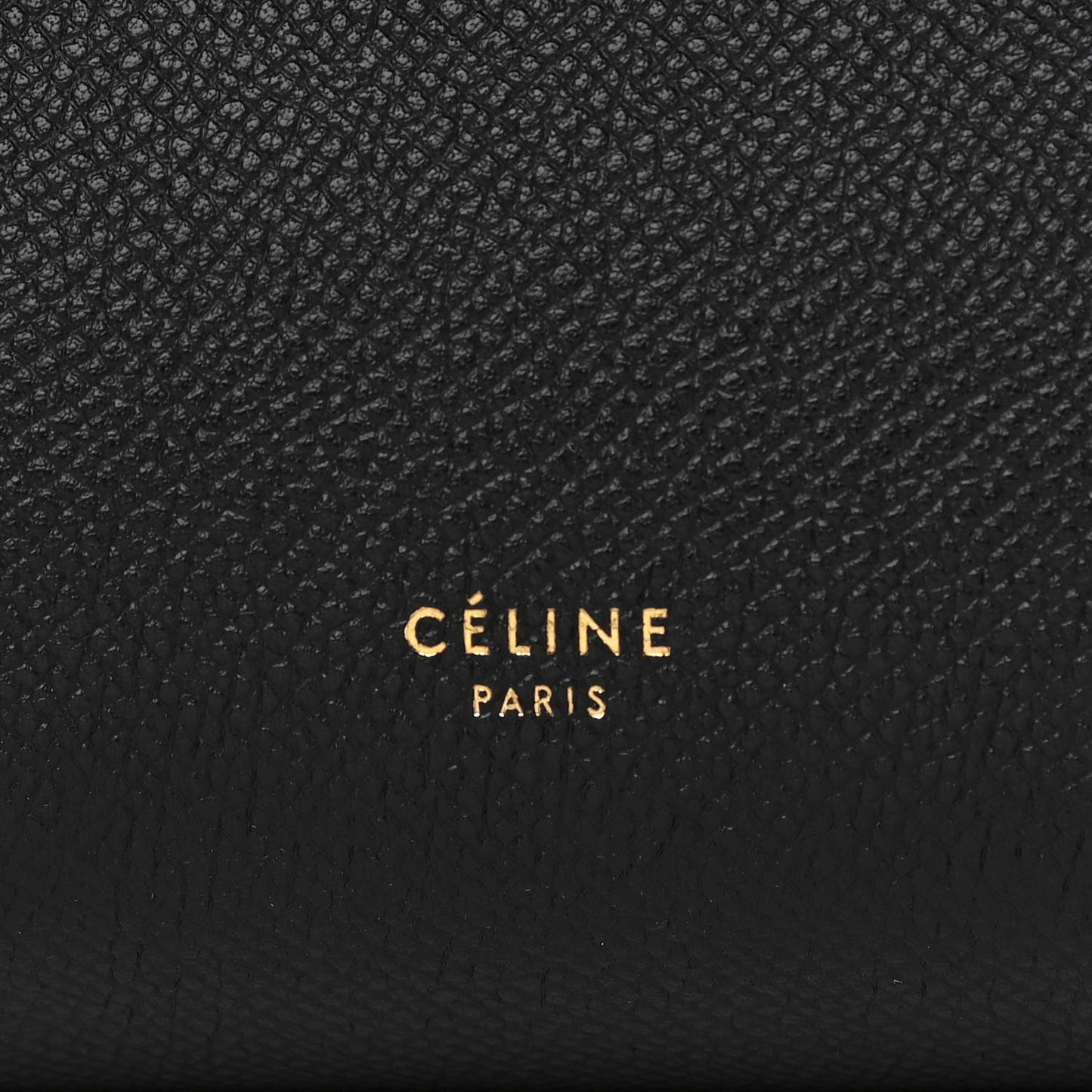 Grained Calfskin Nano Belt Bag Black