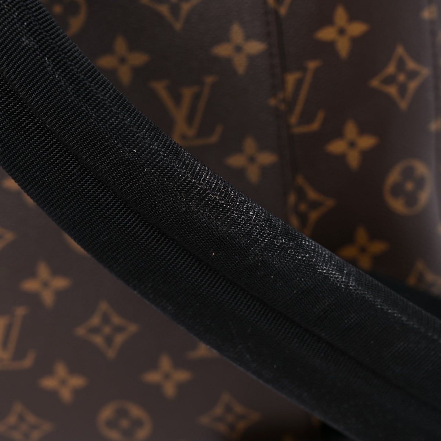 Monogram Macassar Christopher PM Backpack