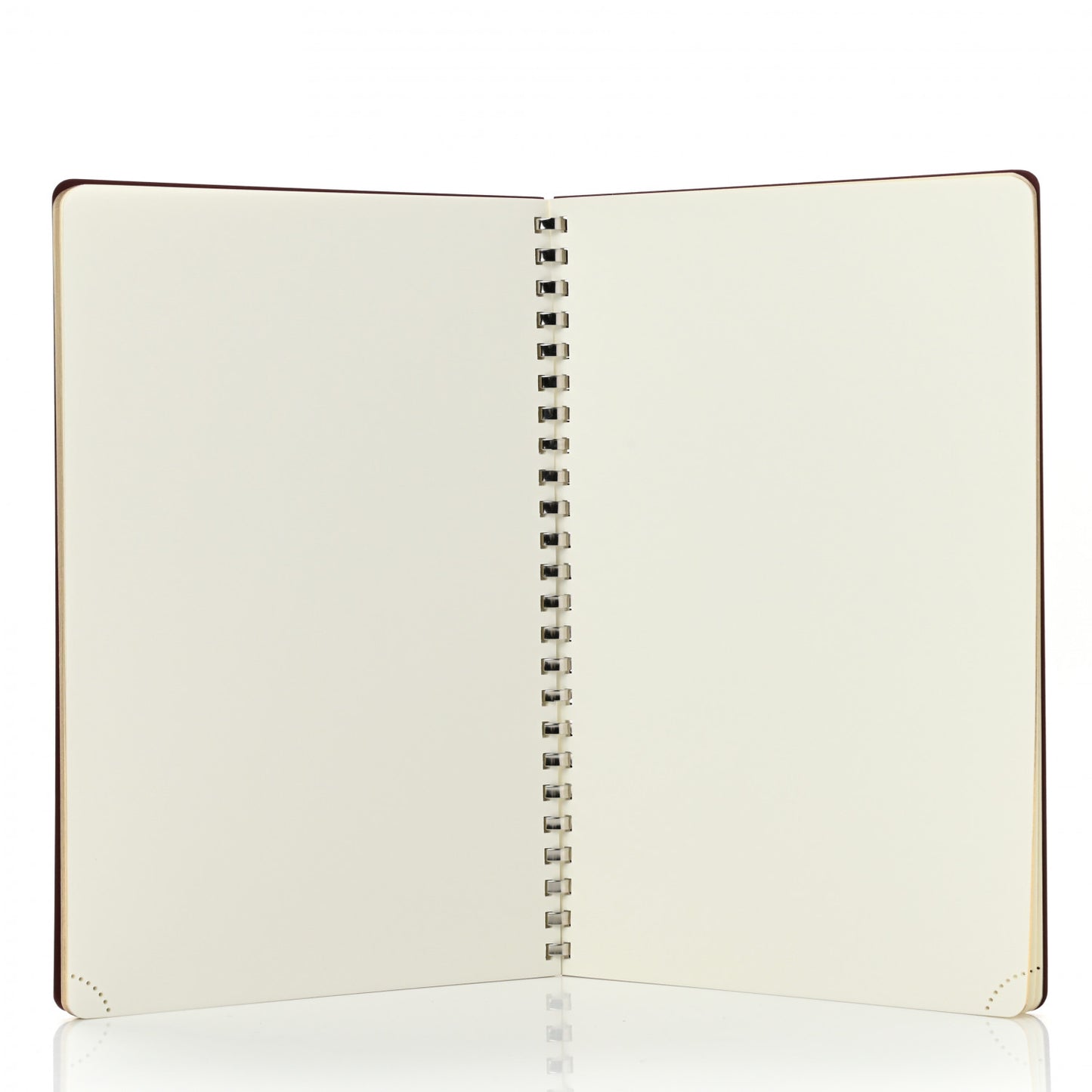Globe Trotter Notebook Insert