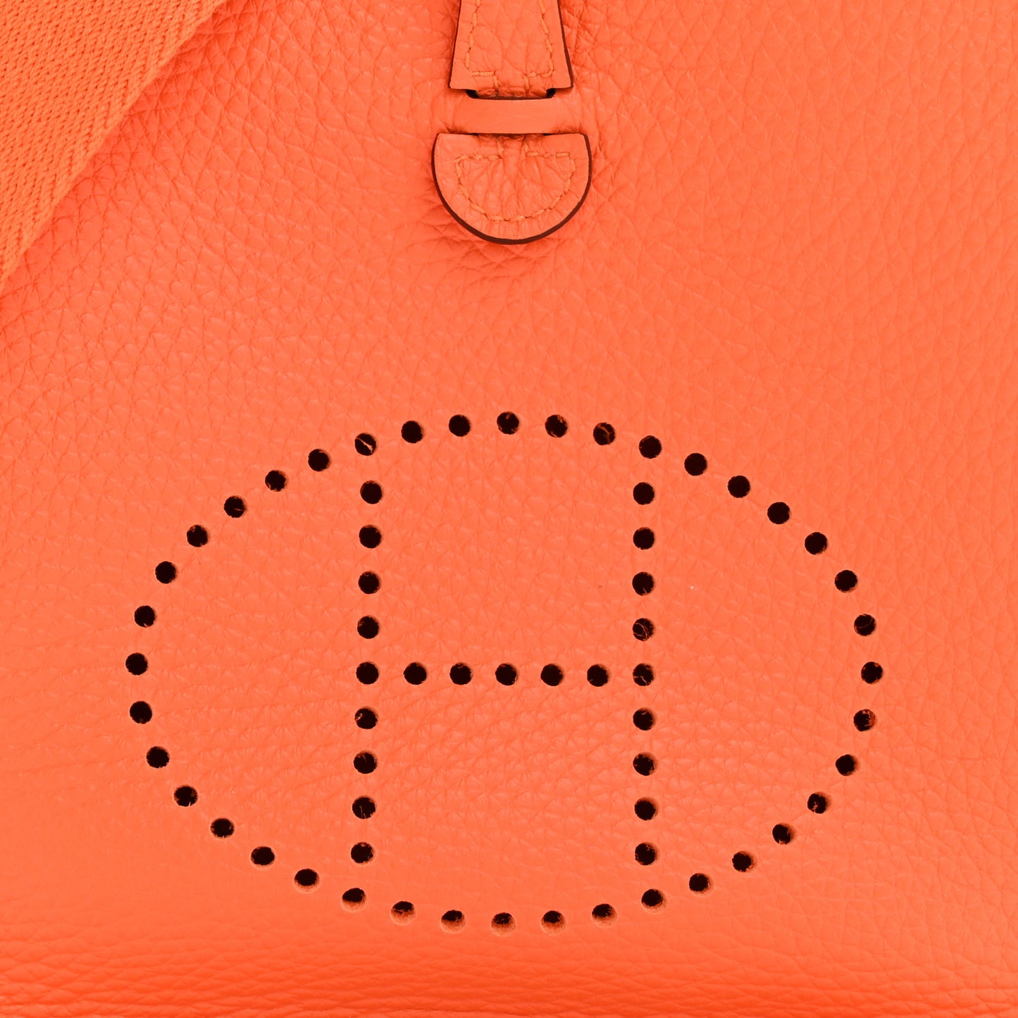 Taurillon Clemence Evelyne TPM Orange Minium