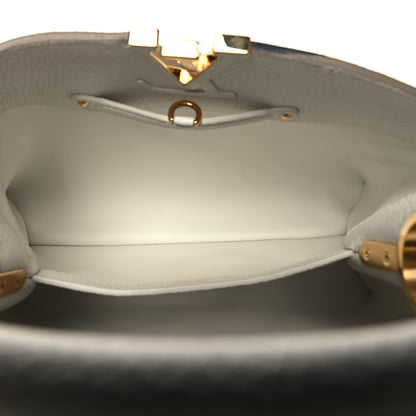 Louis Vuitton Taurillon Artycapucines Henry Taylor MM Snow 5 of 11