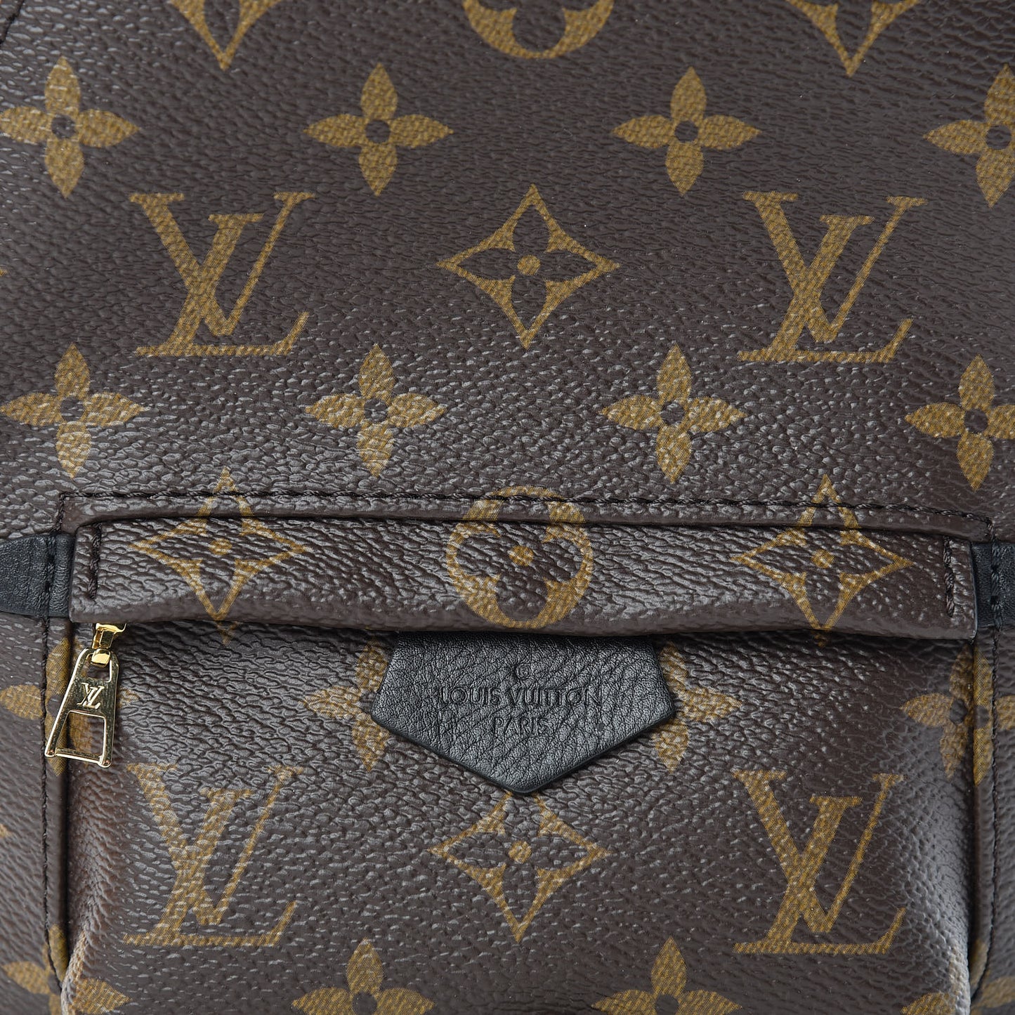 Monogram Palm Springs Backpack Mini