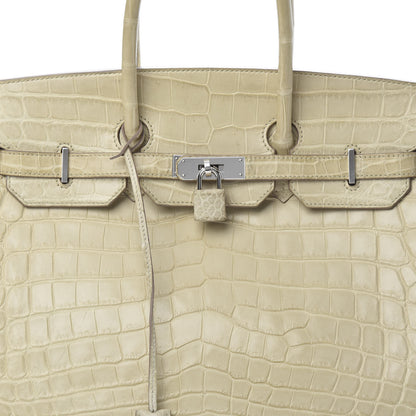 Hermes Matte Niloticus Crocodile Birkin 35 Beton 33 of 39