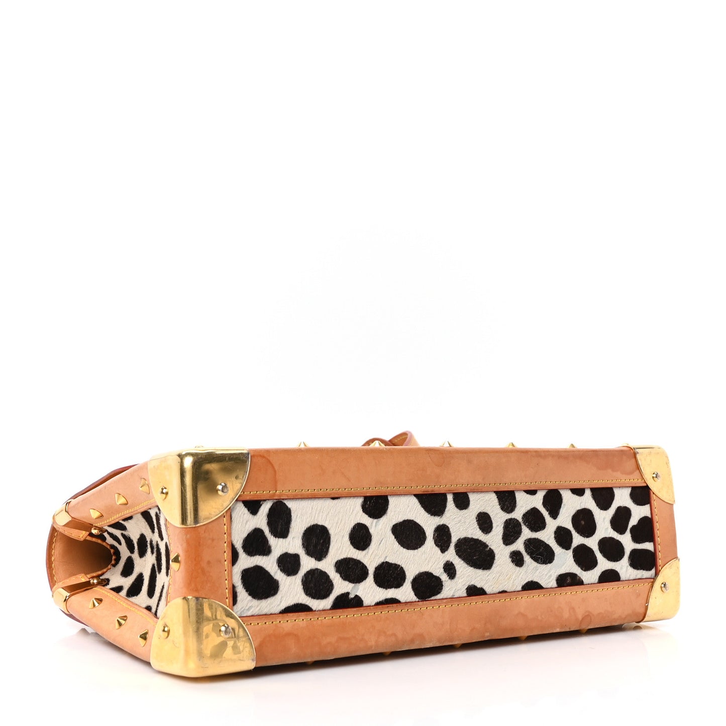 Monogram Multicolor Dalmatian Sac Rabat