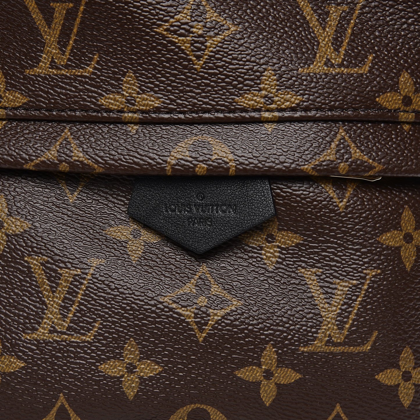 Monogram Palm Springs Backpack PM