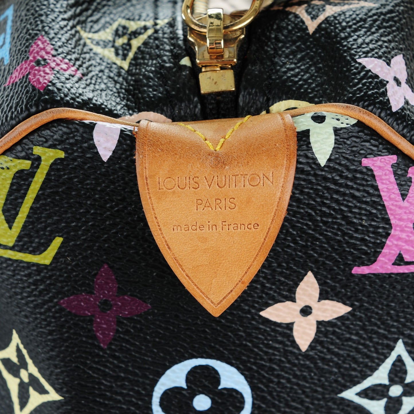 Monogram Multicolor Speedy 30 Black