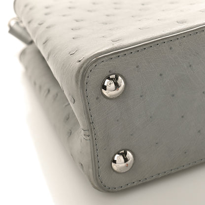 Louis Vuitton Ostrich Capucines BB Gris 7 of 9