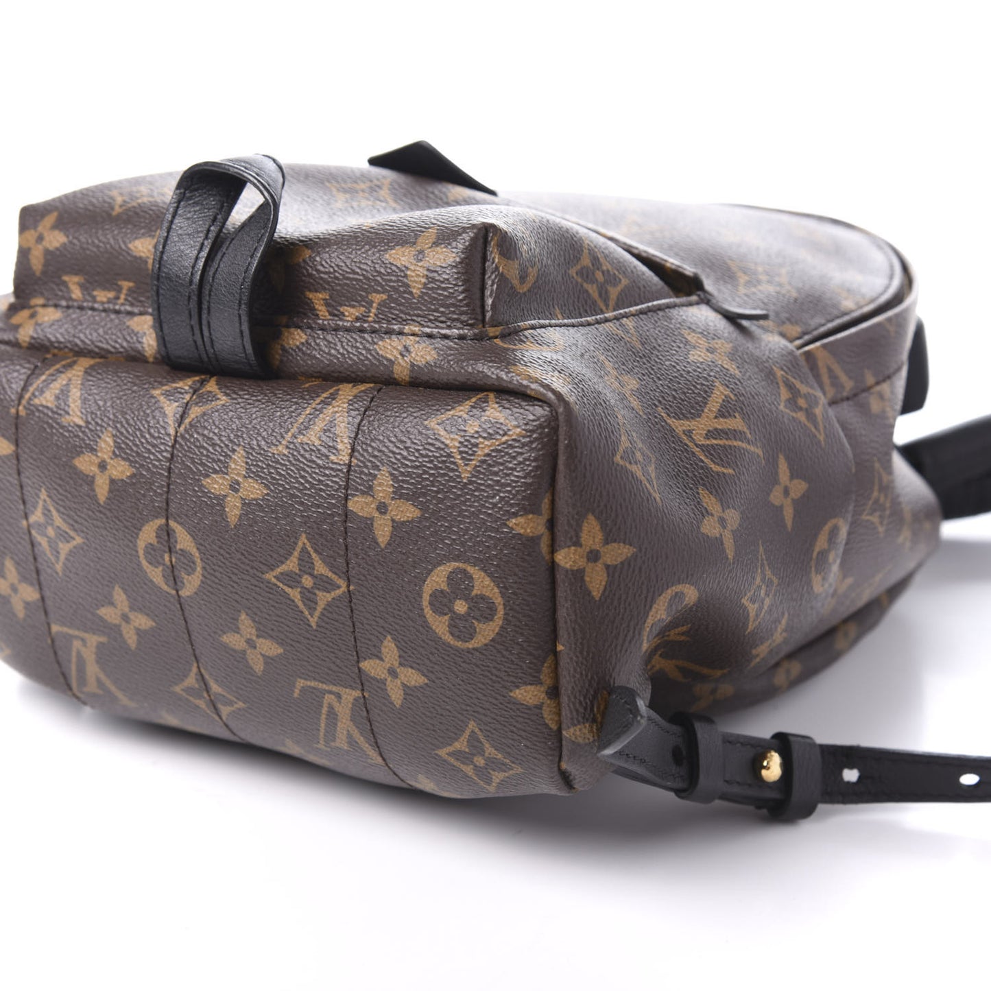 Monogram Palm Springs Backpack PM