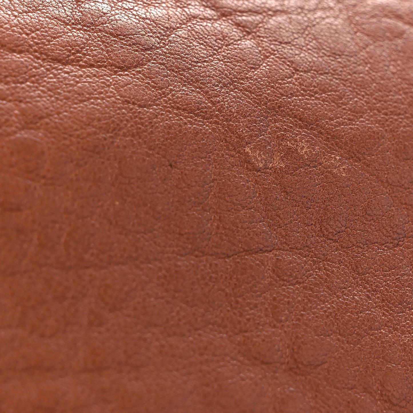 Crinkled Lambskin Mia Shoulder Flap Camel