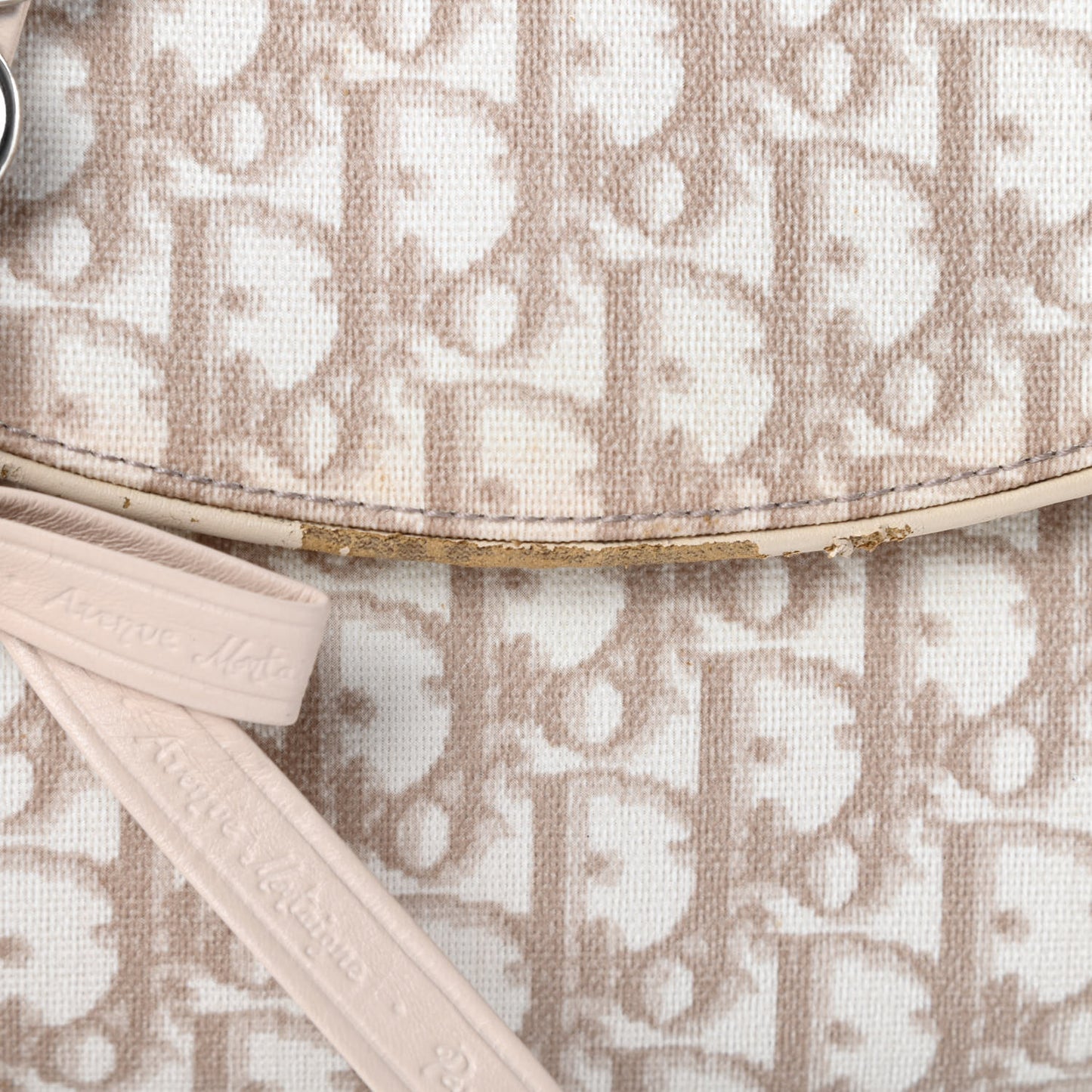 Monogram Romantique Trotter Bag Beige