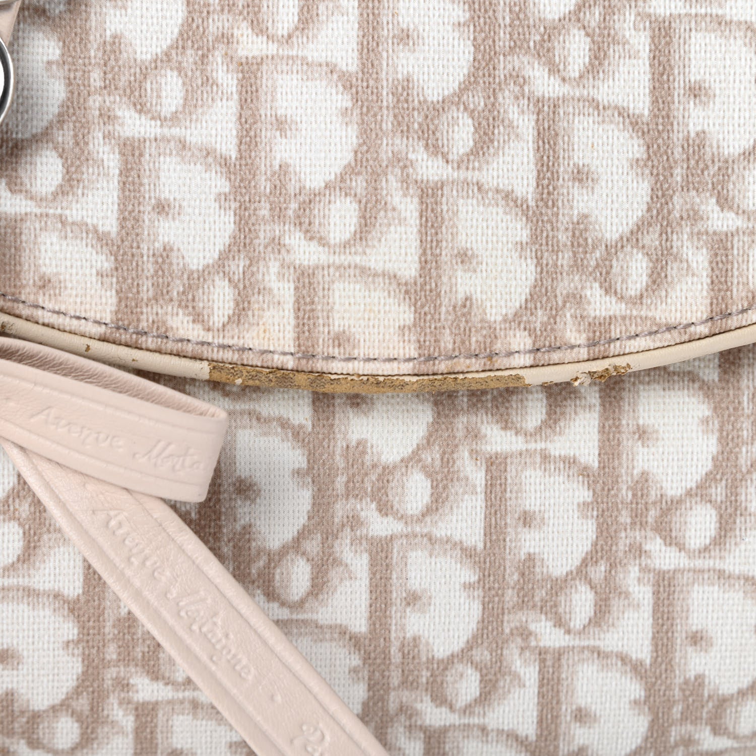 Christian Dior Monogram Romantique Trotter Bag Beige 12 of 14