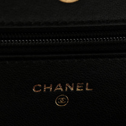 Chanel Lambskin Quilted Chanel 19 Wallet On Chain WOC Black 6 of 13