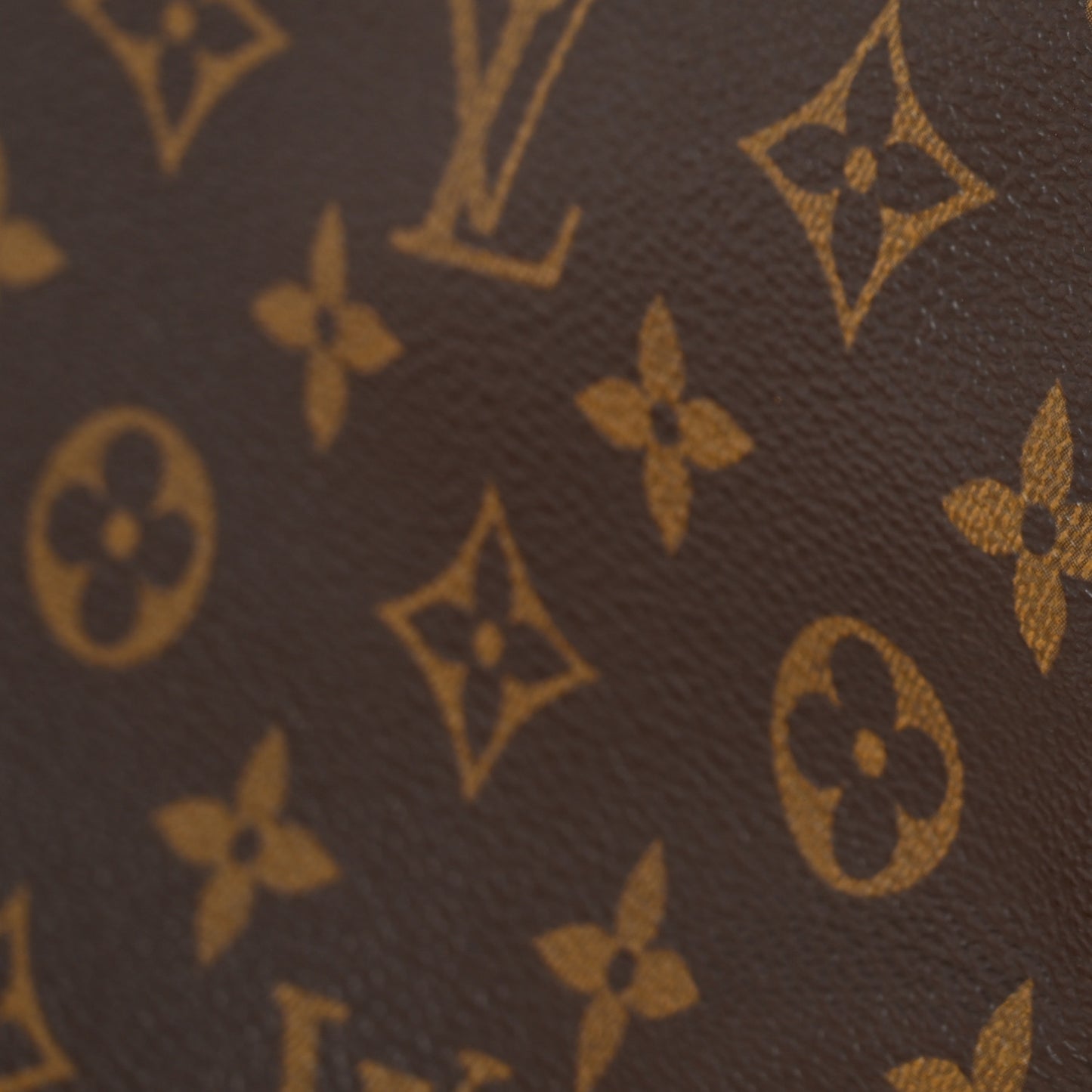 Monogram Pochette Marly Dragonne 22