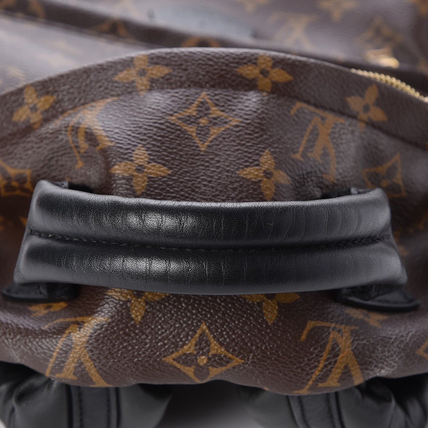 Monogram Palm Springs Backpack MM