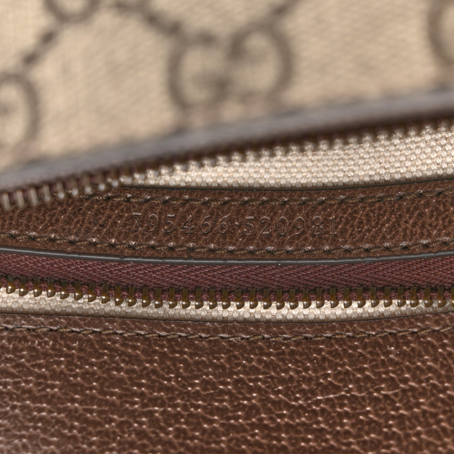 GG Supreme Monogram Web Mini Ophidia Flap Shoulder Bag Brown