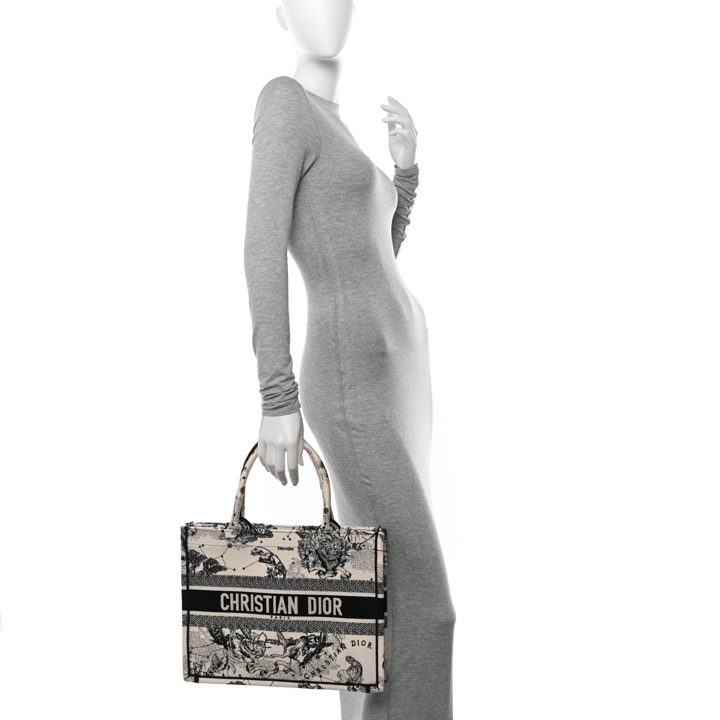 Canvas Zodiac Toile De Jouy Embroidered Medium Book Tote Latte