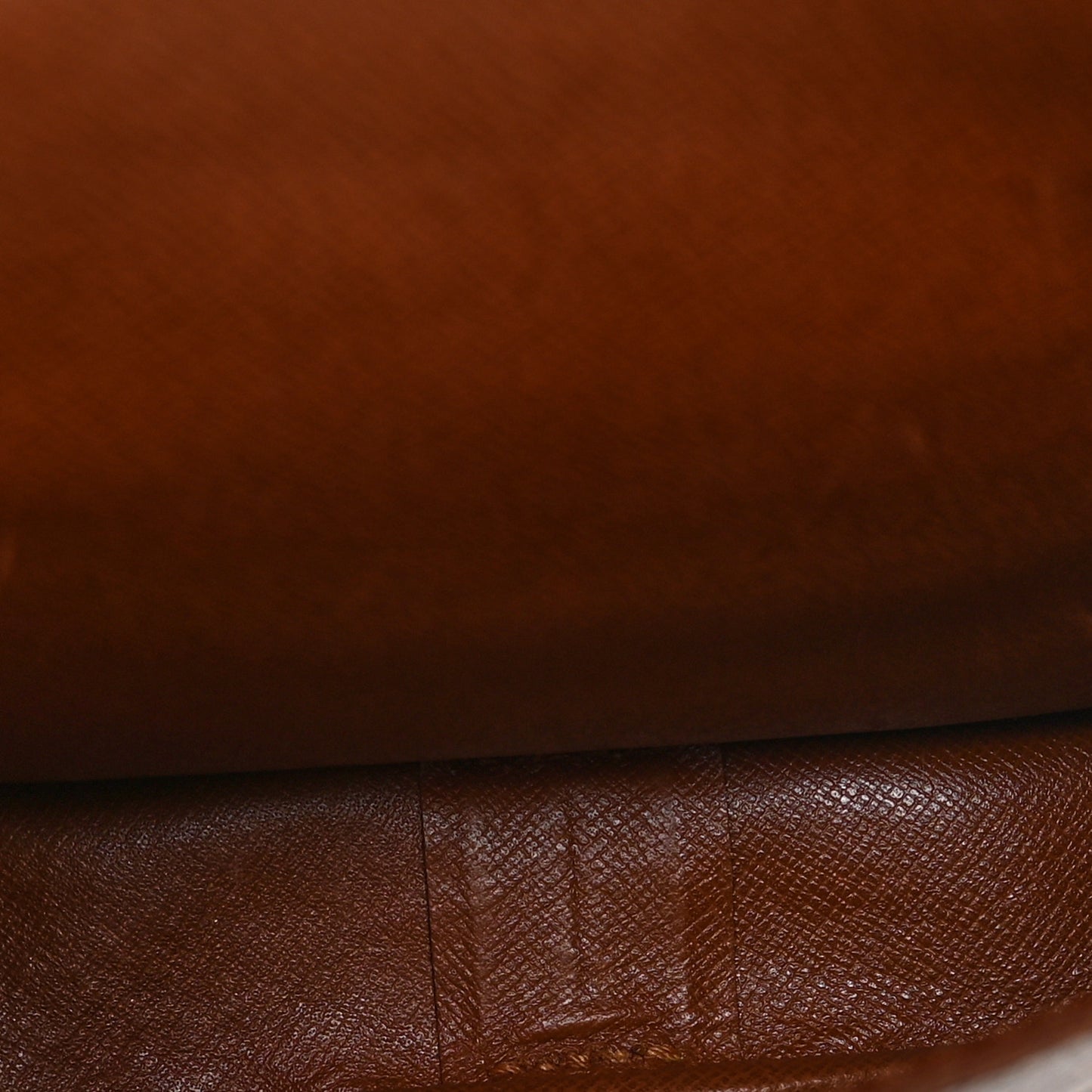 Monogram Cartouchiere 17
