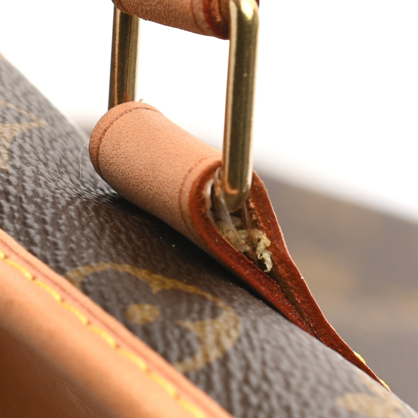 Monogram Garment Cover 4 Hangers