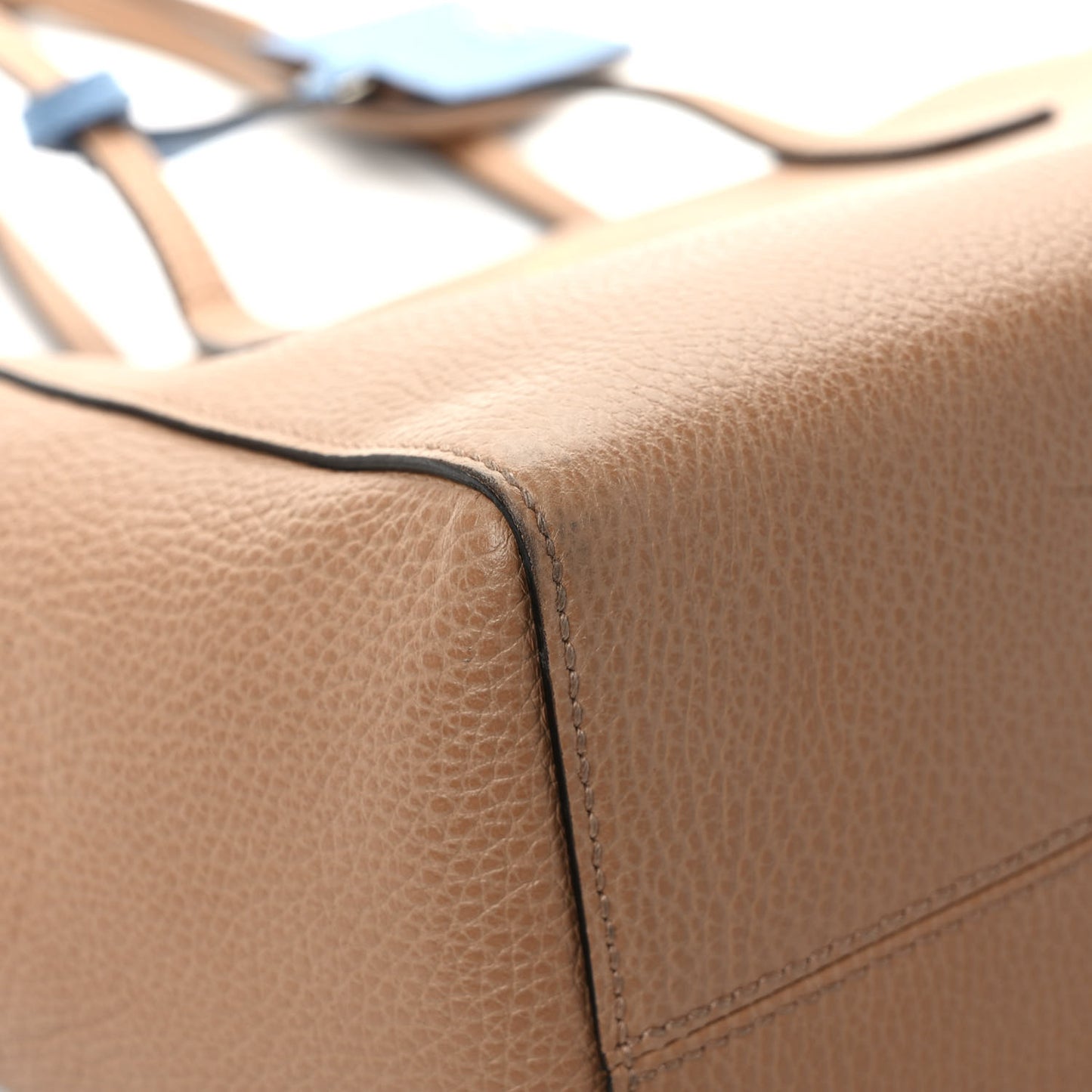 Dollar Calfskin Small Swing Tote Camelia Mineral Blue