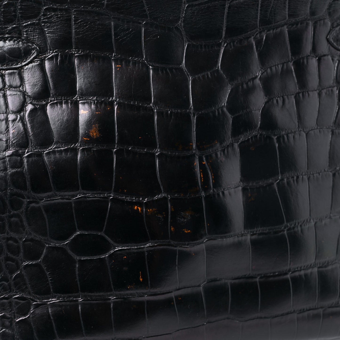 Matte Alligator Kelly Sellier 32 Black