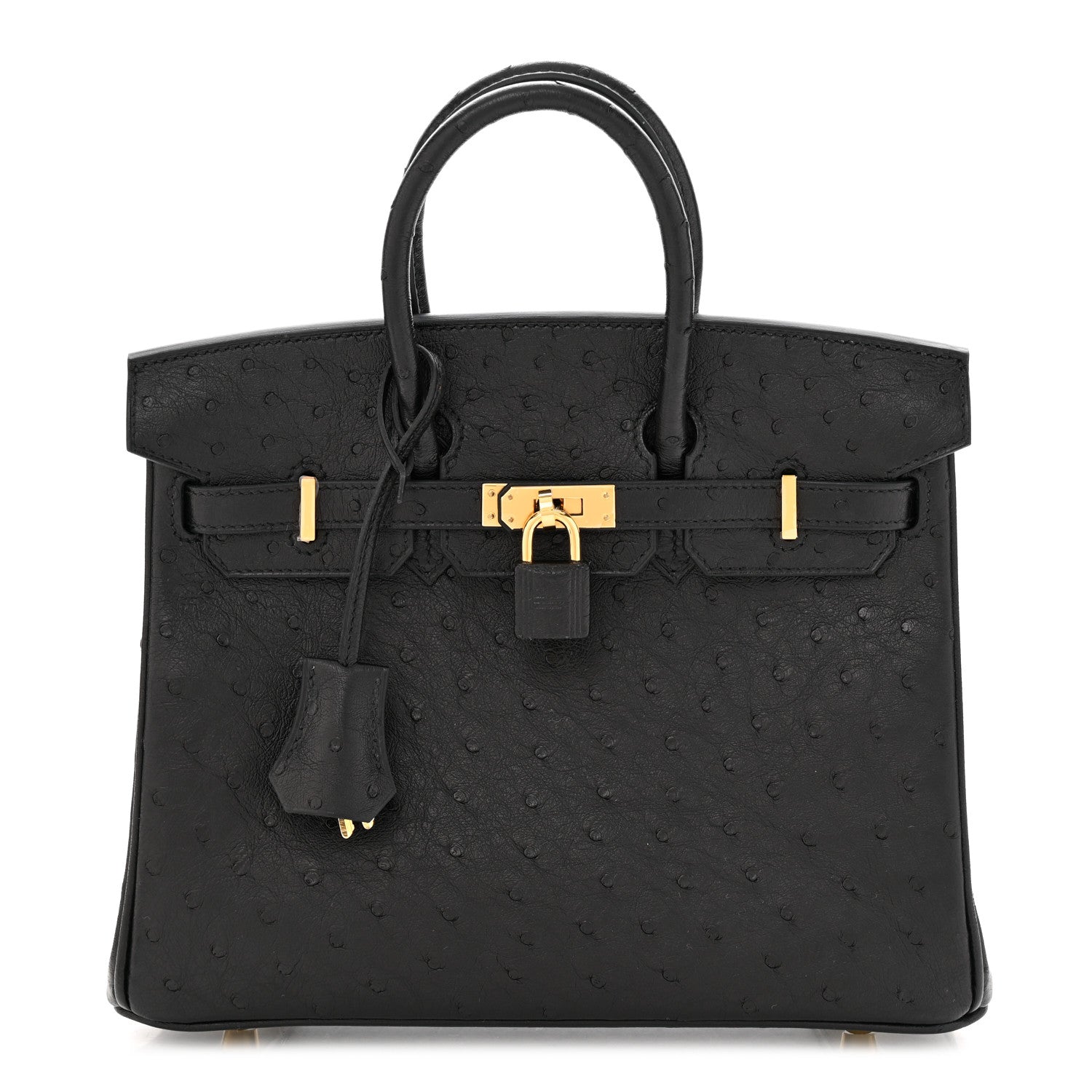 Hermes Ostrich Birkin 25 Black 1 of 10