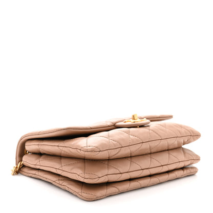 Chanel Lambskin Quilted Medium Pillow Crush Flap Beige 4 of 11