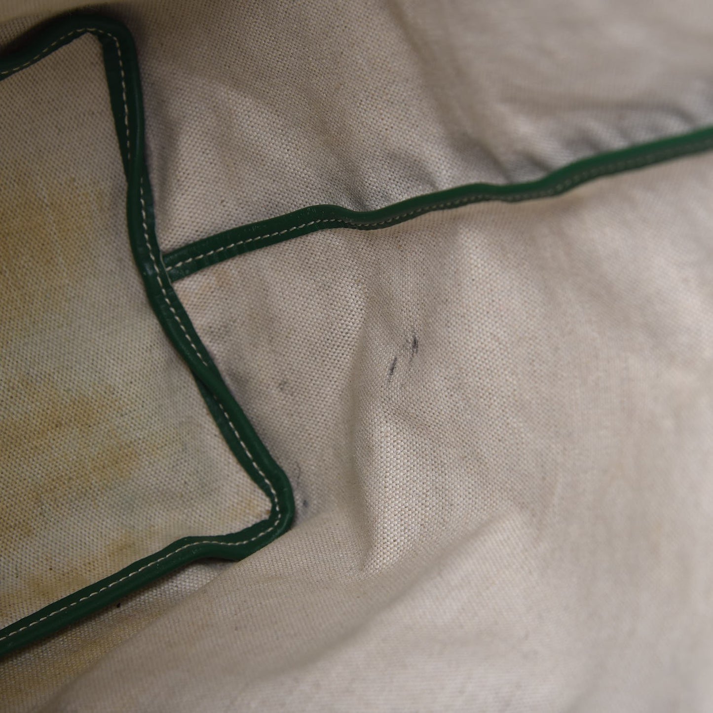 Goyardine Saint Louis PM Green