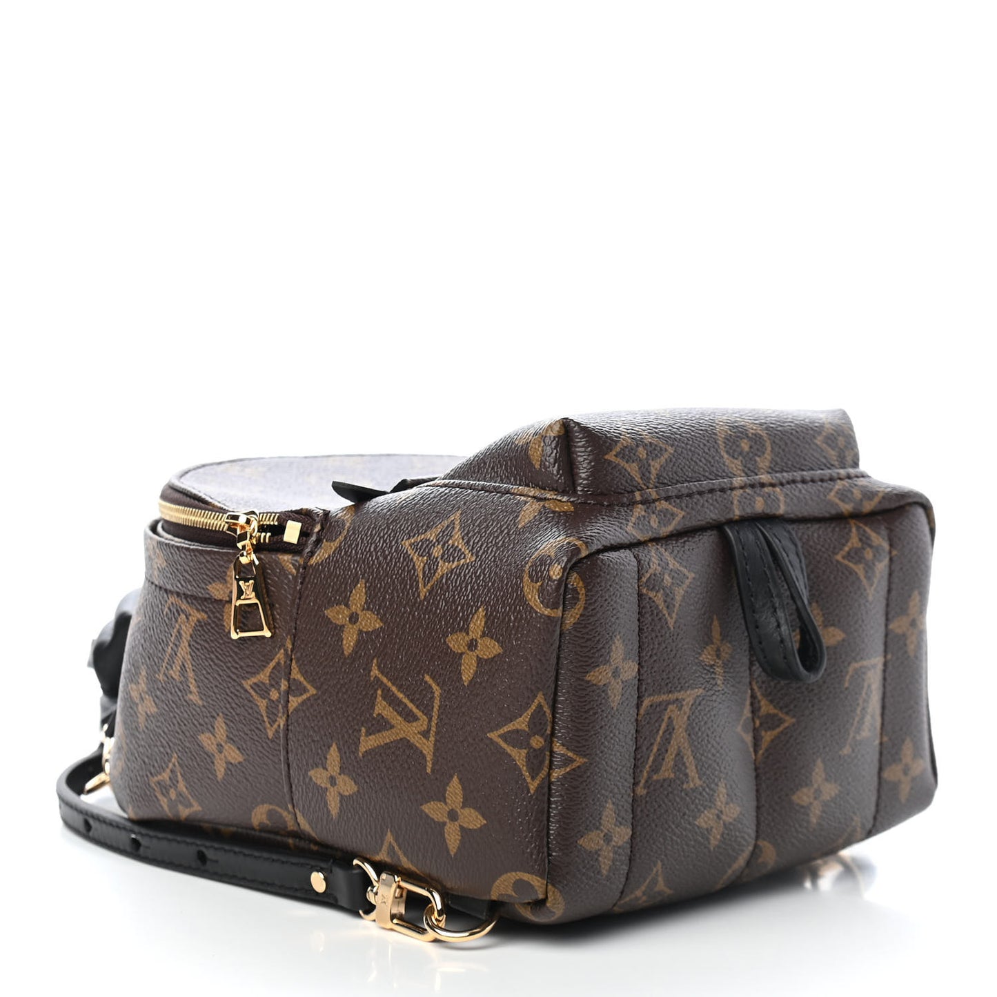 Monogram Palm Springs Backpack Mini