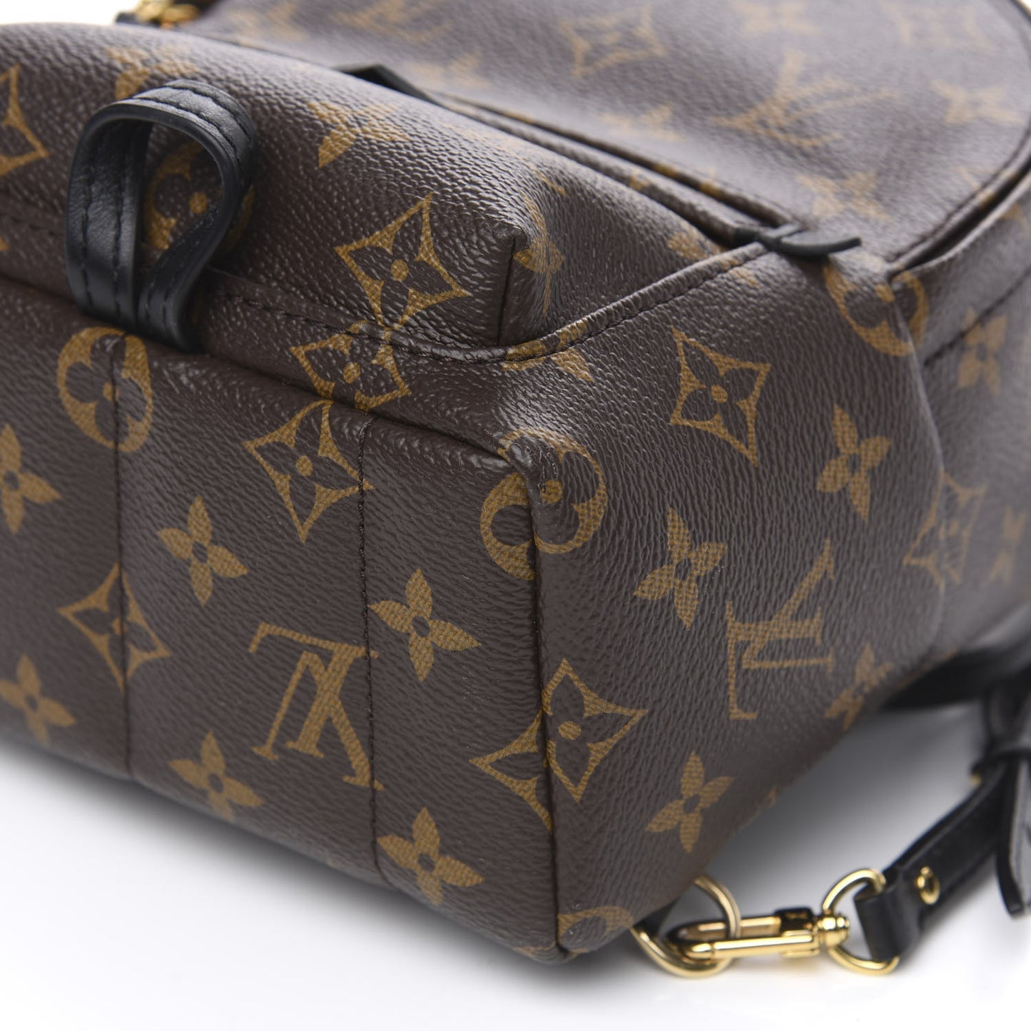 Monogram Palm Springs Backpack Mini
