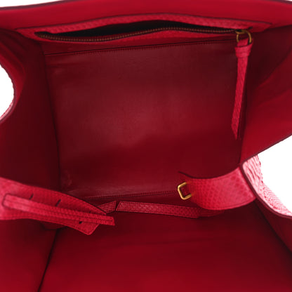 Celine Snakeskin Medium Phantom Luggage Fushia 5 of 11