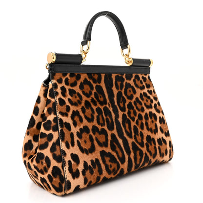 Dolce & Gabbana Calf Hair Leopard Print Small Miss Sicily Satchel Black 3 of 13