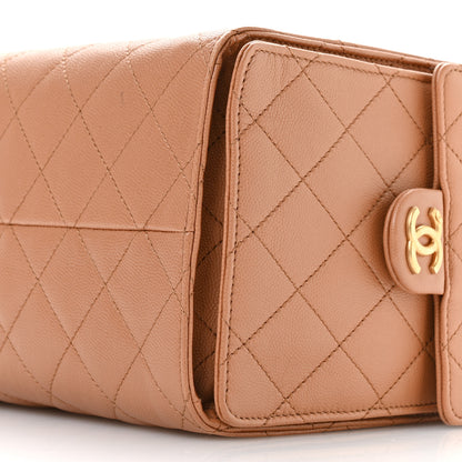 Chanel Caviar Quilted Medium Chanel 25 Handbag Brown 11 of 12