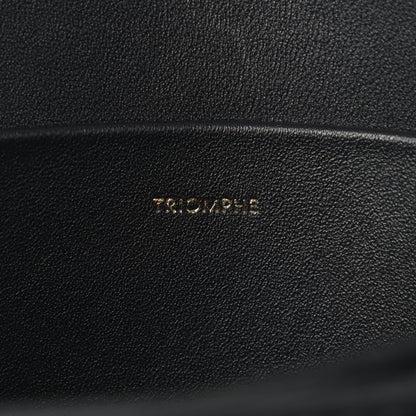 Celine Shiny Calfskin Medium Triomphe Black 11 of 12