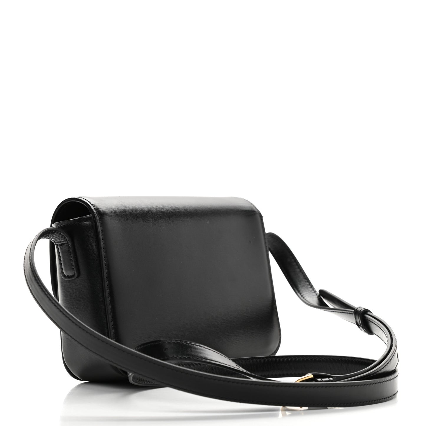 Shiny Calfskin Nano Triomphe Black