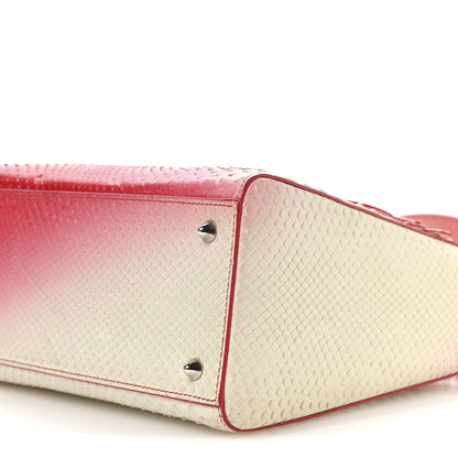 Christian Dior Snakeskin Ombre Medium Lady Dior Red White 10 of 11