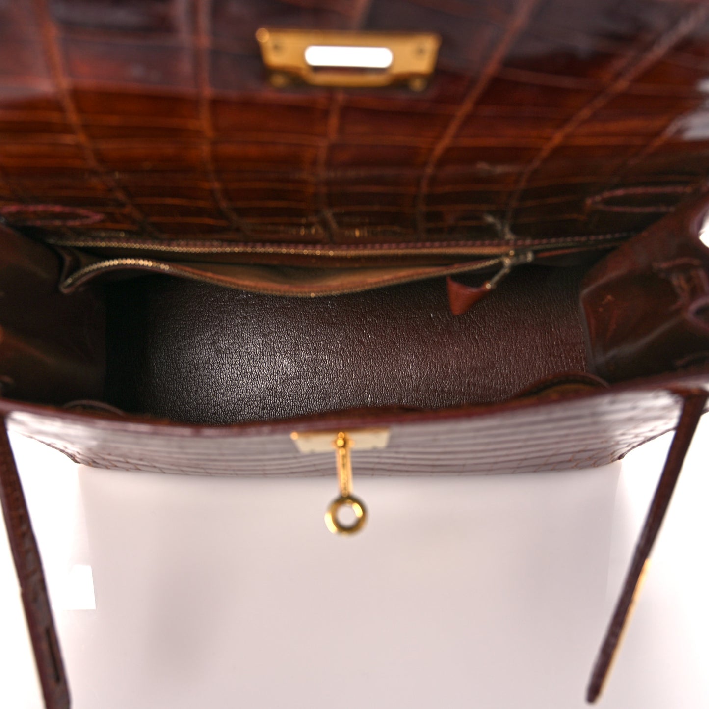 Shiny Niloticus Crocodile Kelly Sellier 28 Miel