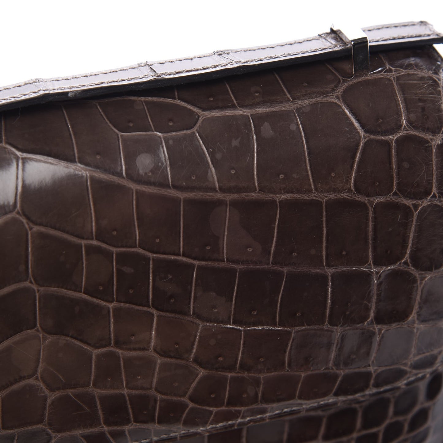 Shiny Niloticus Crocodile Constance Elan 25 Chocolate