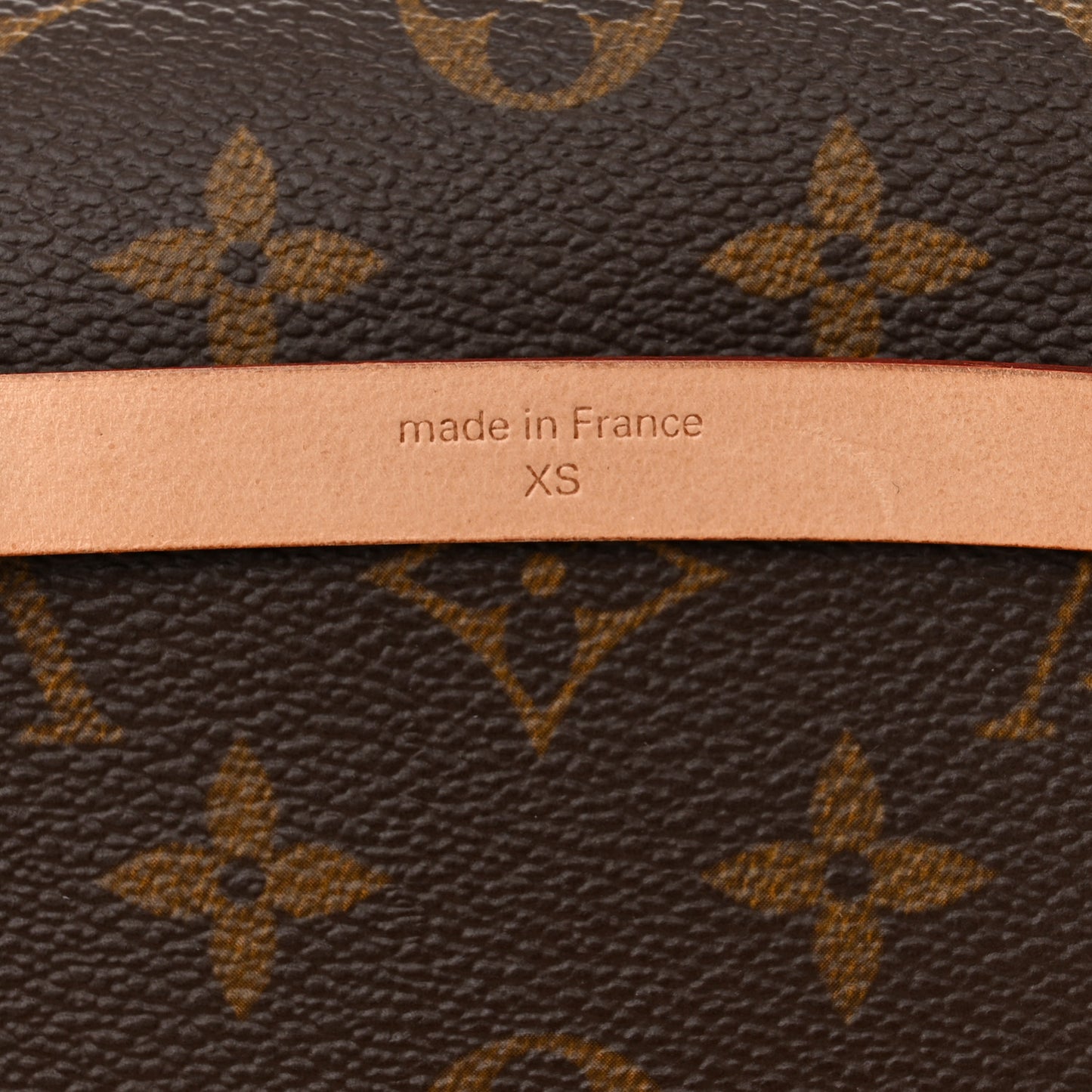 Monogram Pochette Florentine XS